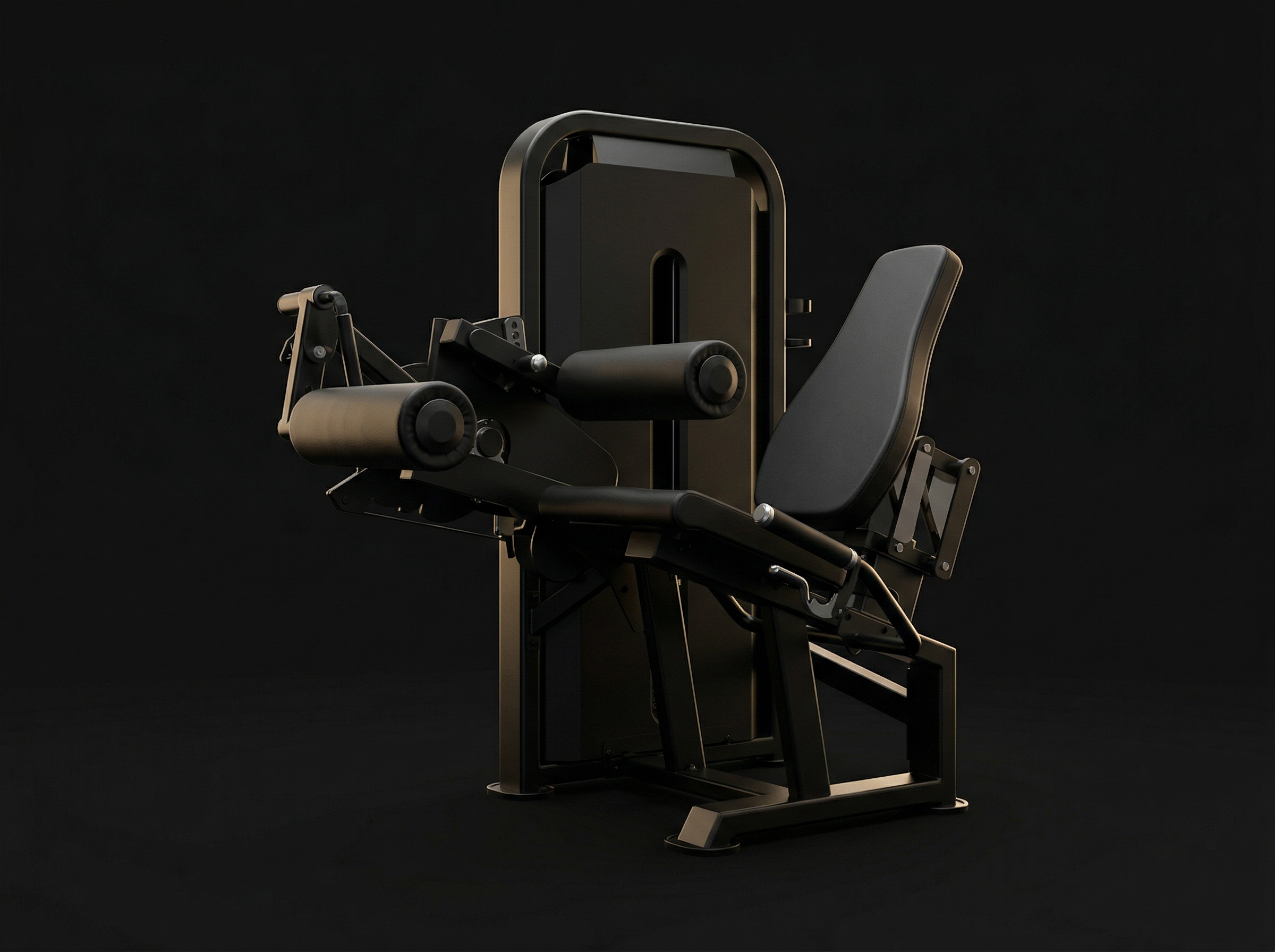 DHZ Fitness Leg Curl Extension U2086C